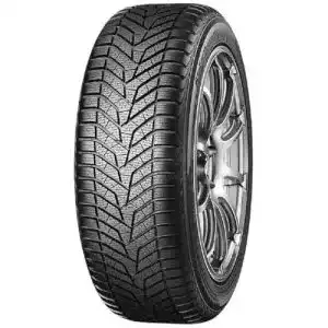 Winterreifen 225_55 R19