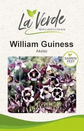 Akelei-Samen William Guiness für Blumenbeete und Rabatten