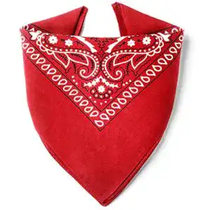 Bandana Karl Loven Rot aus 100% Baumwolle für Damen und Herren