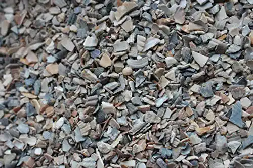 Muschelgrit Landixx Muschelkalk 5 kg für Hühner und Geflügel