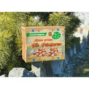 Pilzkultur XXL Bio Steinchampignon 10 kg Zuchtset