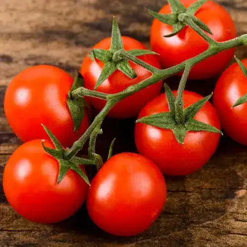 Tomatensamen Prademir Cherry-Tomaten 25 Stück Premium Saatgut