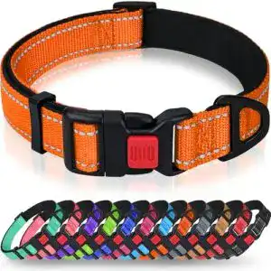 Hundehalsband Taglory aus Neopren und Nylon mit Reflektor