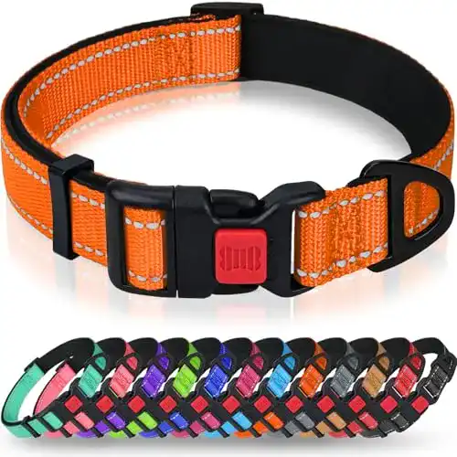Hundehalsband Taglory aus Neopren und Nylon mit Reflektor