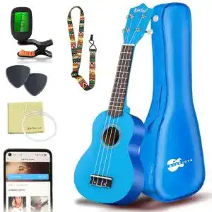 Ukulele Everjoys Sopran Set für Kinder und Erwachsene 21 Zoll