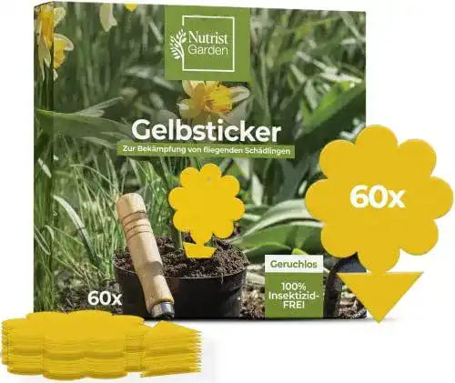 Gelbtafeln Nutrist 60 Stück für die Bekämpfung von Trauermücken