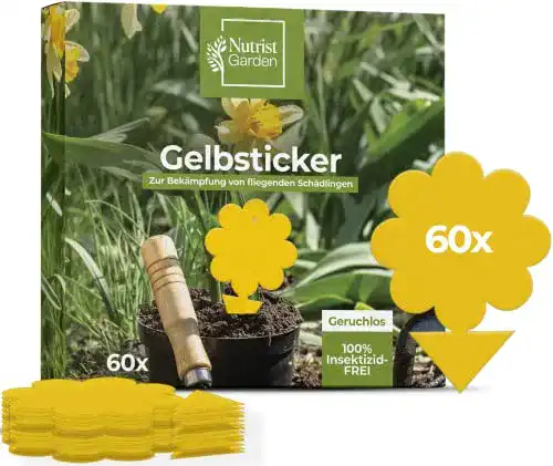 Gelbtafeln Nutrist 60 Stück für die Bekämpfung von Trauermücken