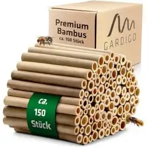 51cD9DDbqOL. SL500 