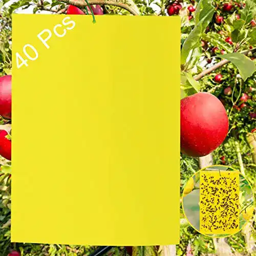 Gelbtafeln Sunshine Smile – 40 Klebrige Insektenfallen