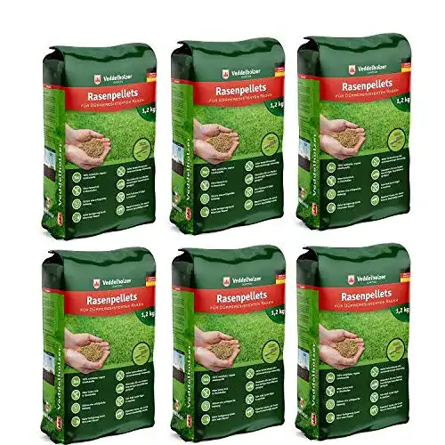 Schattenrasen-Samen Veddelholzer Garten für robuste Rasenflächen