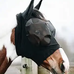 51dFzjjHrtL. SL500 