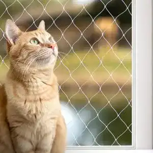 Katzennetz Lionto Balkonschutznetz 3×4 m für Katzen