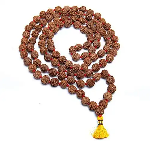 Rudraksha Wonder Care 5-Face 12mm Mala mit 108 + 1 Perlen