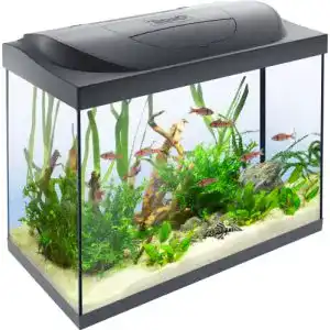 Aquarium Tetra Starter Line 80 L Komplettset mit LED-Beleuchtung und Zubehör