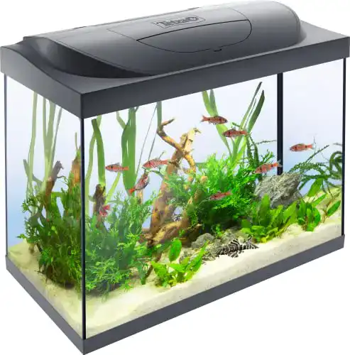 Aquarium Tetra Starter Line 80 L Komplettset mit LED-Beleuchtung und Zubehör