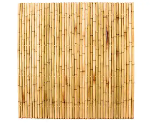 Bambuszaun Sichtschutz 180 x 180 cm aus dicken Bambusrohren