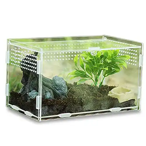 Terrarium Keweni Insect Feeding Box aus Acryl für Reptilien