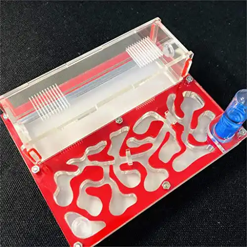 Ameisenfarm Ant Farm Educational Formicarium für Live Ameisen