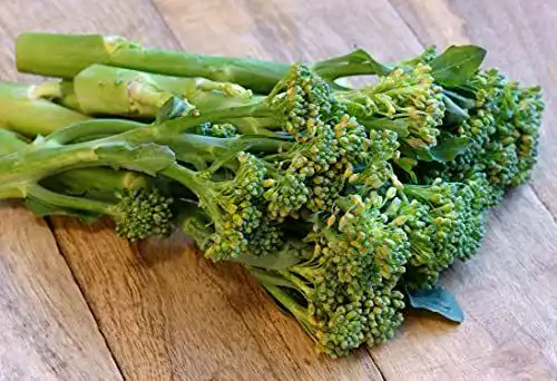 Brokkoli-Samen von Schenker – Italienischer Spargel-Brokkoli