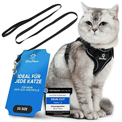Katzengeschirr Kitten Blue Pawz mit 170 cm Leine für Katzen