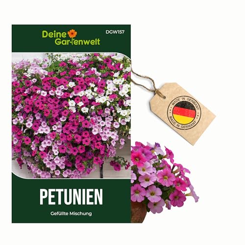 Petunien-Samen – Einfache Mischung für den Garten