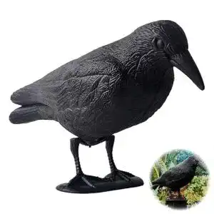 Taubenschreck Fajoek Krähe Schwarz zur Vogelabwehr
