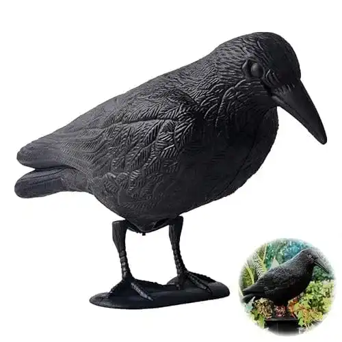 Taubenschreck Fajoek Krähe Schwarz zur Vogelabwehr