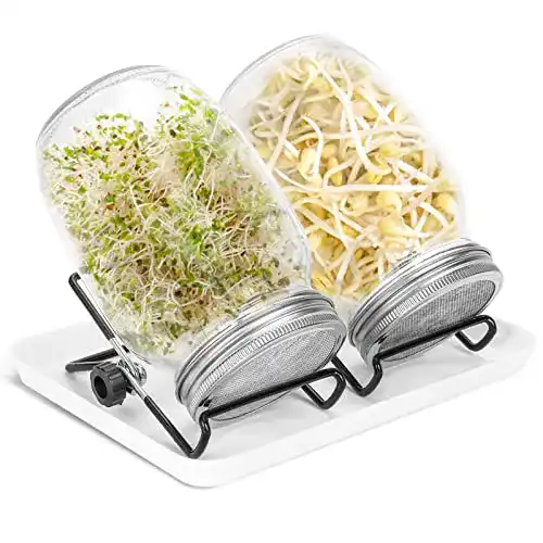 Sprossenglas Set Lospitch mit Edelstahldeckel, 2er Set