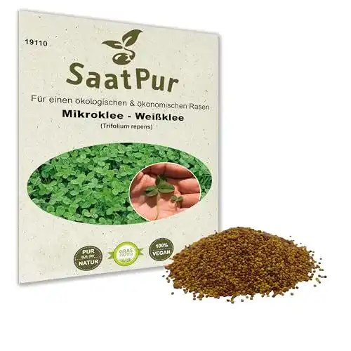 Kleesamen Mikroklee Microclover Miniklee Zwergklee Saatgut 50g