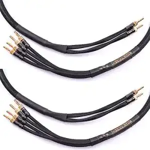51l W6OEPrL. SL500 