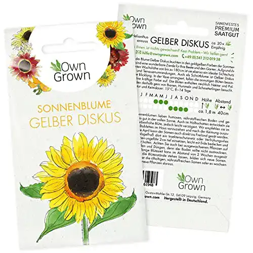 Sonnenblumen Samen Gelber Diskus für Garten und Blumenbeet
