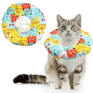 Halskrause für Katzen von Avodova – Schutzkragen und Halsband