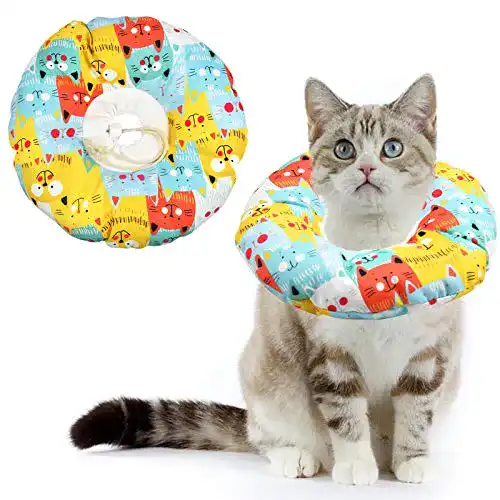 Halskrause für Katzen von Avodova – Schutzkragen und Halsband