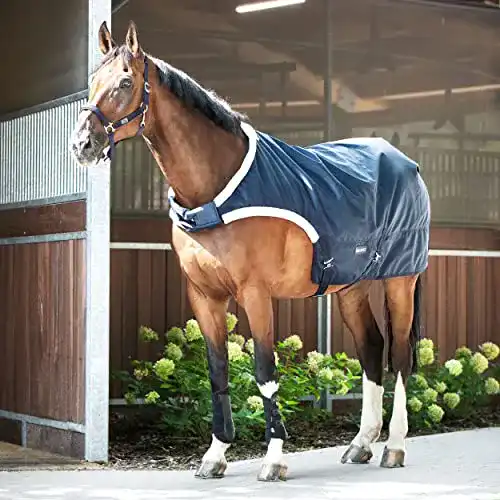 Führanlagendecke Busse Walking 100 mit Wärmeisolierung und Rückenlänge 125 cm