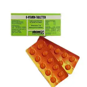 51mk4xaNleL. SL500 