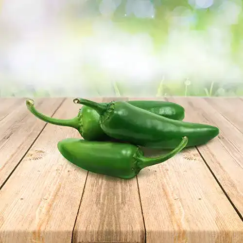Jalapeno-Samen Prademir 25 Stück aus Portugal