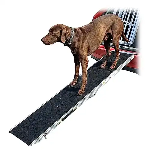 Hunderampe Petigi für Hunde im Auto und Treppen
