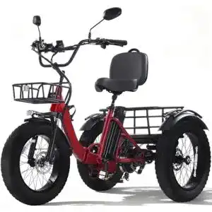 E-Bike Dreirad Kakigo für Erwachsene, 20 Zoll, 250W Motor, faltbar