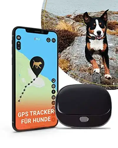 GPS Tracker für Hunde – PAJ GPS Pet Finder 4G