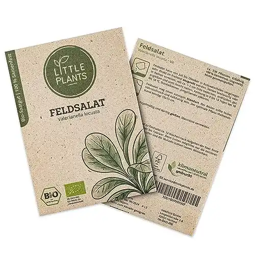 Bio Feldsalat Samen von Little Plants, 300 Stück