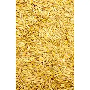 51pFIHiq2RL. SL500 
