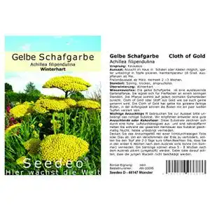 Samen der gelben Schafgarbe Cloth of Gold von Seedeo
