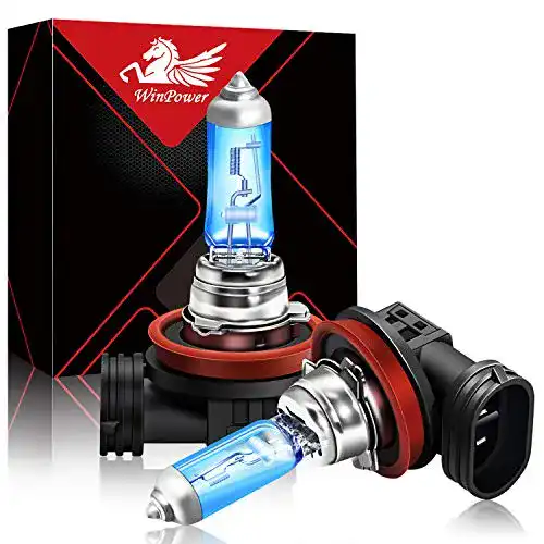 H8 Birne WinPower H8 Halogen Scheinwerferlampen 100W 5000K