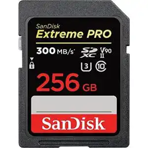 51r3Gp4SGcL. SL500 
