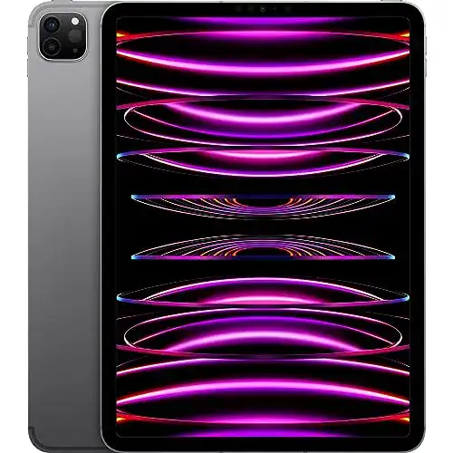 Apple iPad Pro 11 Zoll 2022 (Wi-Fi + Cellular, 512 GB)