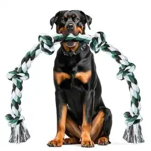 Kauspielzeug für Hunde Ycozy XXL 100 cm – Robustes Seilspielzeug
