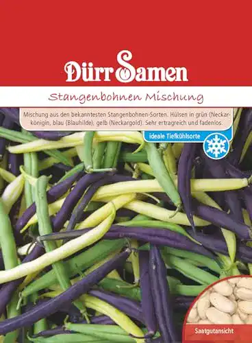 Stangenbohnen-Samen von Dürr Bunte Mischung für den Garten