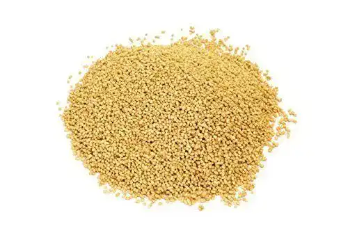 Lecithin-Granulat Buxtrade 2 x 500 g Soja Lecithin Granulat E322