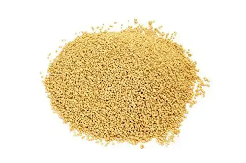 Lecithin-Granulat Buxtrade 2 x 500 g Soja Lecithin Granulat E322