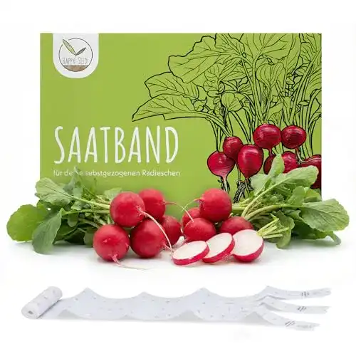Radieschen-Samen im 5m Saatband für Garten und Balkon